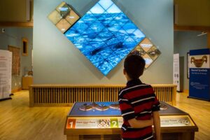 depiction of child looking at impressive light TV television HD display in museum